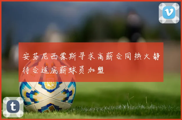 安芬尼西蒙斯寻求高薪合同热火静待合适底薪球员加盟