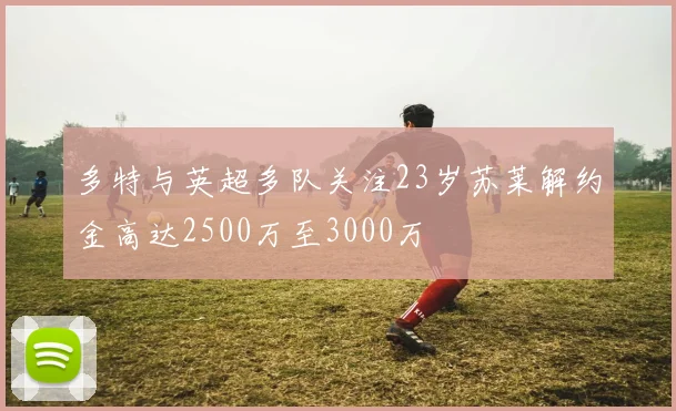 多特与英超多队关注23岁苏莱解约金高达2500万至3000万