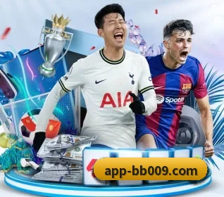 BB体育 APP 界面
